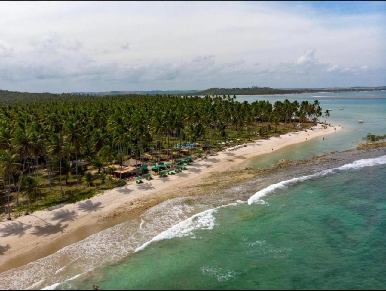 Flat Beira Mar - Carneiros Beach Resort Тамандаре Экстерьер фото